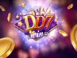 Dd7 – Nhà cái đang từng bước lên thị trường cá cược online