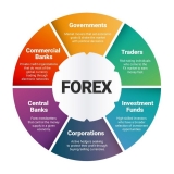 Phát triển trò chơi Forex – Những điều thú vị khi đầu tư