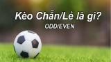 Kèo chẵn lẻ là gì? Cung cấp cách chơi kèo chẵn lẻ đẳng cấp