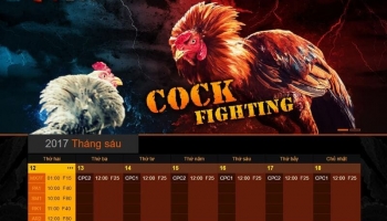 SV388 – Bật mí kinh nghiệm đá gà tại nhà cái sv388